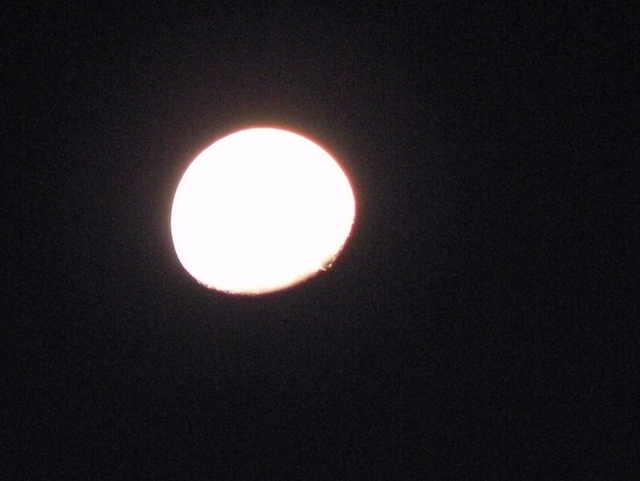 Bright Moon