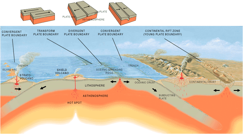 Tectonic forces