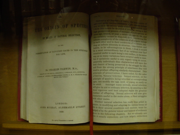 Darwin's Book'