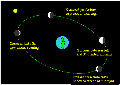 Lunar phases