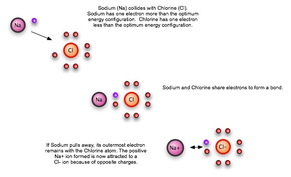 Scholars Online Natural Science 2 Unit 37: Science - Chemical Reactions