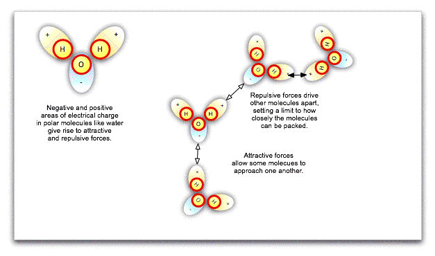 Forces on fluid molecules